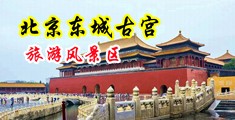 这个黄片儿男人跟女人操逼的整这逼的中国北京-东城古宫旅游风景区