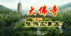 操美女的黑毛逼中国浙江-新昌大佛寺旅游风景区